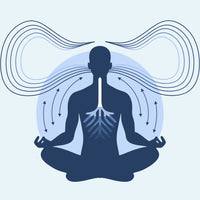 Wellness and balance