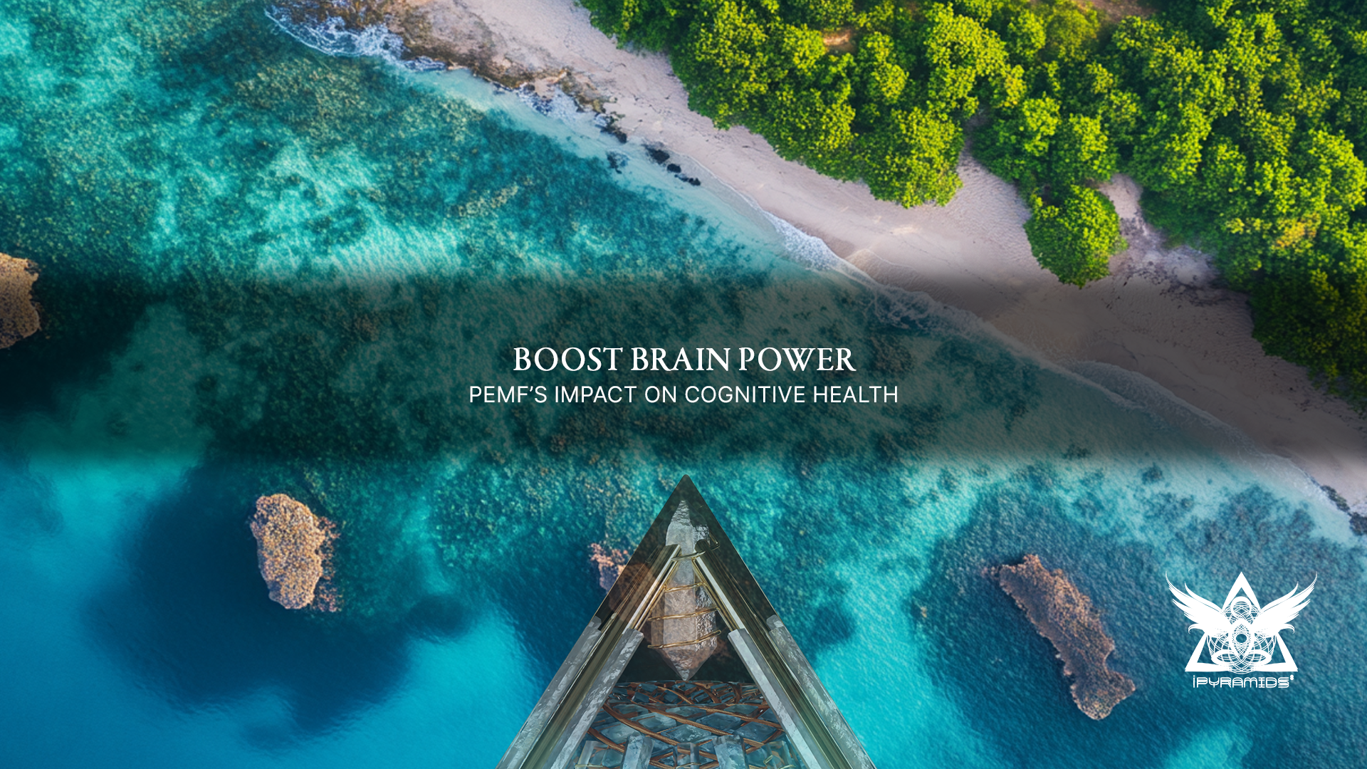 Boost Brain Power: PEMF’s Impact on Cognitive Health