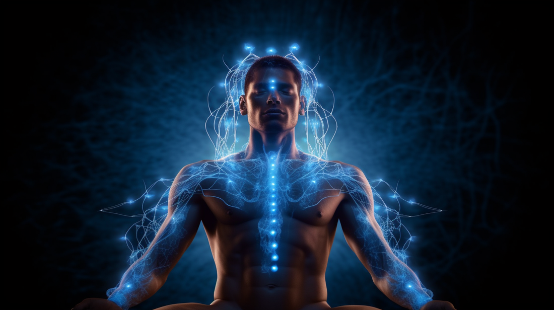 High-Frequency PEMF Therapy: Energize Your Cells for Optimal Wellness