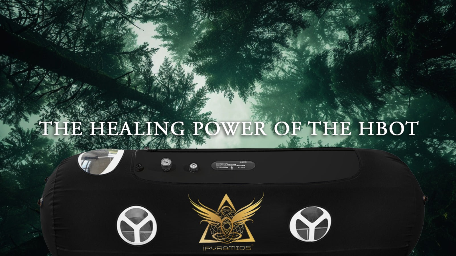 Revolutionizing Wellness: The Healing Power of HBOT and iTorus Technology