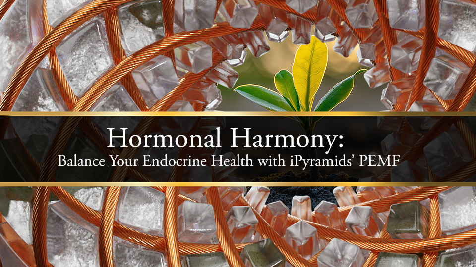 Hormonal Harmony: Balance Your Endocrine Health with Pyramids' PEMF