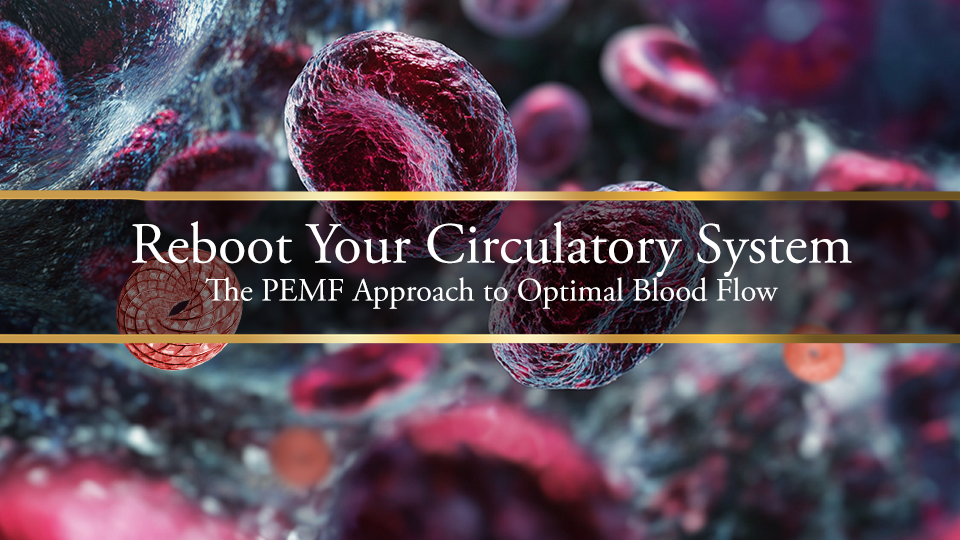 Reboot Your Circulatory System: The PEMF Approach to Optimal Blood Flow