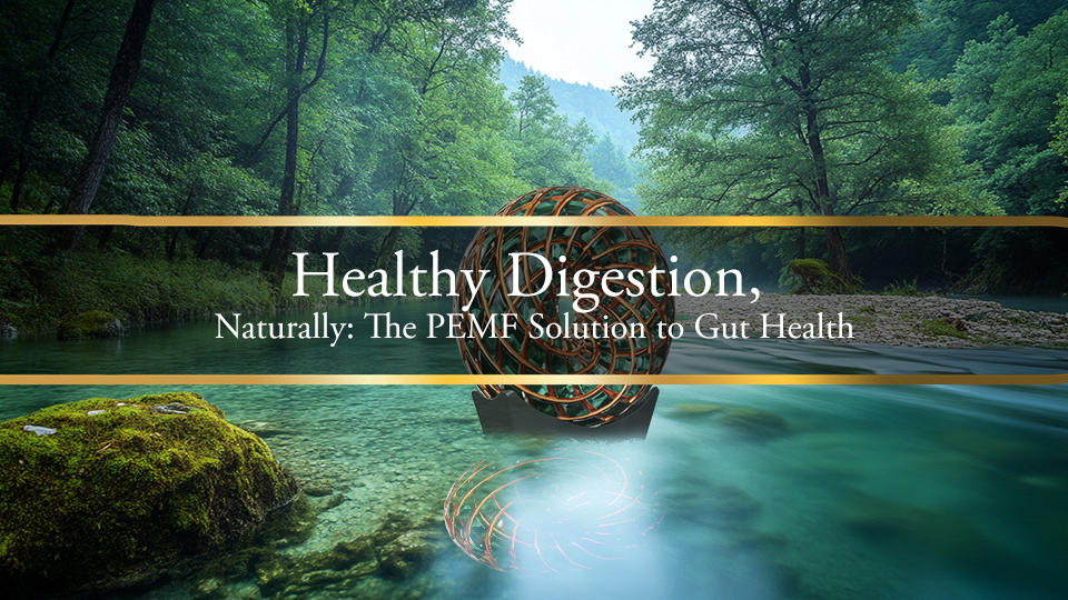 Healthy Digestion, Naturally: The PEMF Solution to Gut Health