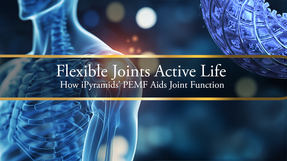 Flexible Joints, Active Life: How iPyramids' PEMF Aids Joint Function