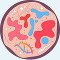 Cellular Regeneration